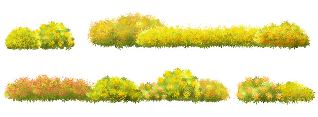  Vector watercolor blooming flower tree or forest side view isolated on white background for landscape and architecture drawing,elements for environment or and garden,wild flowers for garden section