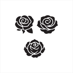 vector illustration of a rose