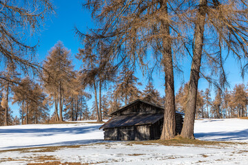 Landschaft auf dem Salten bei Mölten, Südtirol, im Winter