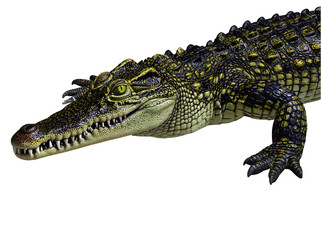 Obraz premium Detailed crocodile figurine showcasing intricate scales and vivid colors, perfect for educational displays.