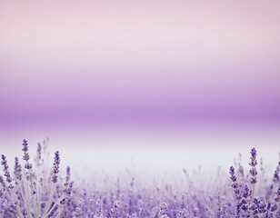 Naklejka premium A serene lavender field at sunset, showcasing beautiful purple hues in the sky.