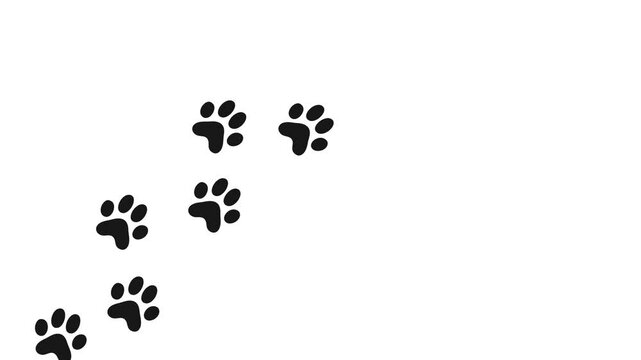 dog paw prints  in black