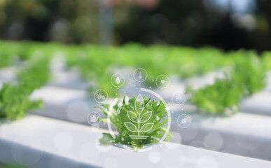 Modern agriculture combines smart technology and biotechnology to create more efficient and...