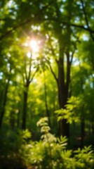 Obraz premium A Photorealistic Background Image Showcasing A Lush Green Forest, With Sunlight Dappling Through The Leaves Creating A Bokeh Effect, Captured At A Wide Angle To Emphasize The Expansi.