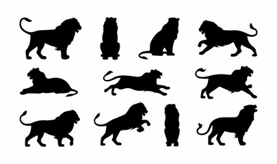 Set of silhouette lion with various poses On white background