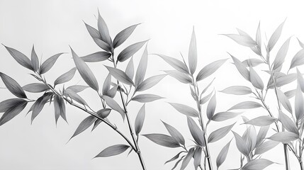 Naklejka premium A Continuous Single Minimal Line Drawing of Bamboo Capturing the Essence of Nature's Elegance