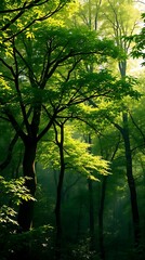 Obraz premium A Photorealistic Rendering Of A Lush Green Forest, Dappled Sunlight Filtering Through The Canopy, Showcasing Vibrant Emerald Greens, Deep Browns, And Soft Yellows, In A Vertical Form.