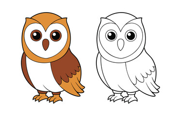  Elegant Barn Owl Coloring Illustration Design
