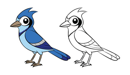  Vibrant Blue Jay Coloring Art Design