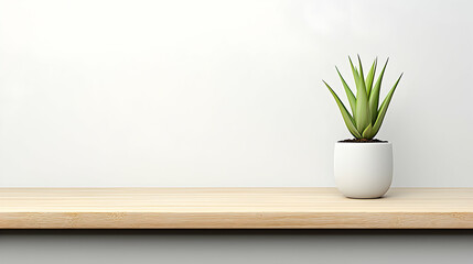 Aloe Vera Plant in White Pot on Light Wooden Shelf Against White Wall