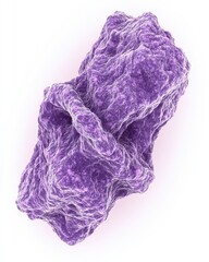 Fototapeta premium 3D Render of a Purple Bacteria Cell Structure on a White Background