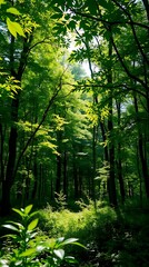 Fototapeta premium Photorealistic Wallpaper Of A Lush Forest Scene, Dappled Sunlight Filtering Through Leaves, A Natural Style, Slightly Low Angle Framing, Emphasis On Texture And Depth Of Field.