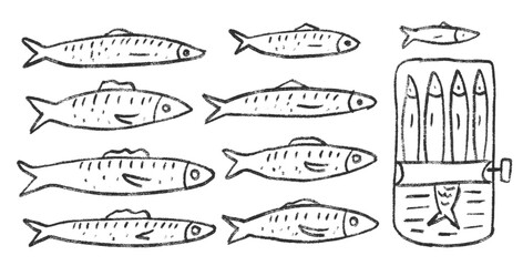 Sardines line doodle set. Canned fish hand drawn scribble. tinned fishes. Open sardine tin. Vector conserve eat illustration by pencil isolated on white background. Crayon or chalk naive seafood.