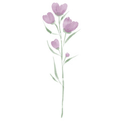 Fototapeta premium Watercolor Flower clipart 