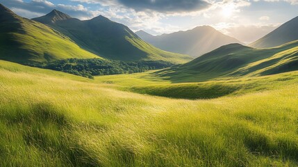 Sunlit mountain valley with rolling green grass.