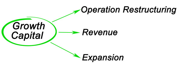  Three Applications of Growth Capital