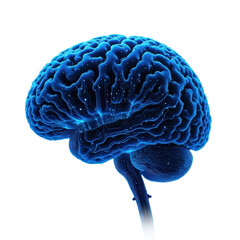 Blue Brain Illustration with Neural Connections and transparent background