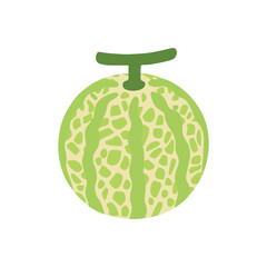 Watermelon vector. Fresh and trendy design of watermelon on white background. 