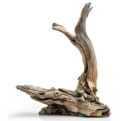 Fototapeta premium Abstract Driftwood Sculpture with Unique Textures and Curves