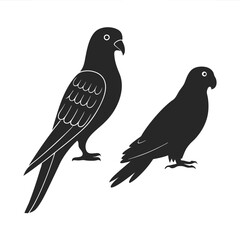 Pigeon Parrot Silhouette vector illustration