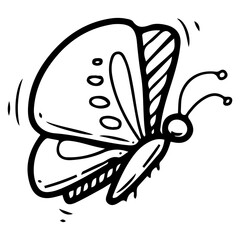 Flying butterfly. Hand drawn doodle. Winged insect. Pretty moth. Summer season. Wild life animal. Nature fauna. Vector line art illustration.
