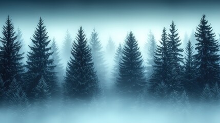 Obraz premium Dense mist envelops a tranquil forest during early morning, showcasing tall evergreen trees and serene atmosphere