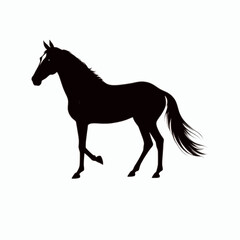 Obraz premium Vector art of a horse silhouette ,emphasizes elegance and refinement through the horse's graceful form and clean lines