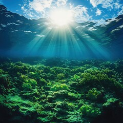 Obraz premium A captivating underwater vista where vibrant green algae blanket the ocean floor, set against a mesmerizing deep blue-green backdrop