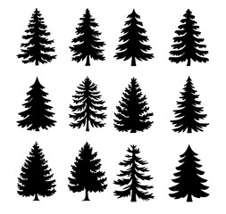 tree vector