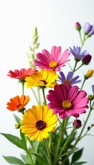 Fototapeta premium Close-up shot, colorful wildflowers cluster, pure white backdrop , flower, macro