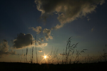 Sunset whispers through the grass under a cloudy sky