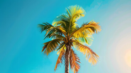 A vibrant tropical palm tree against the clear blue sky, capturing the essence of a sunny and exotic island paradise.