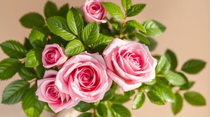 Gorgeous crimson tulips with vibrant emerald foliage