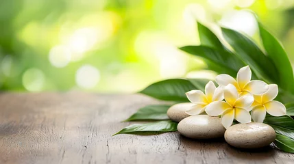 Papier peint photo autocollant Zen White Plumeria Flowers and Smooth Stones on Wooden Table with Green Bokeh Background  © kenzo