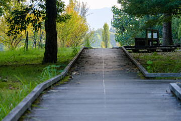 森の中の木道と緑の風景