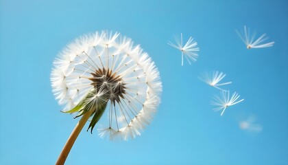 Un primer plano de un diente de león contra un cielo azul claro, con sus semillas arrastradas por el viento
