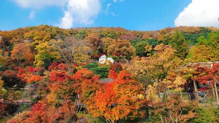 autumn in the mountains