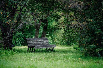 bench in the park