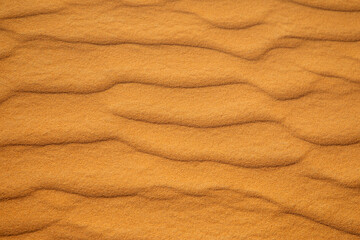 Red sand desert