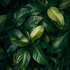 A close up view of lush green plant leaves