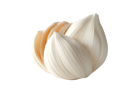 The image features a close-up of an abstract white flower, possibly digitally created, showing delicate petals and a smooth texture.