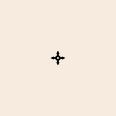Ninja Star icon flat vector design. 
