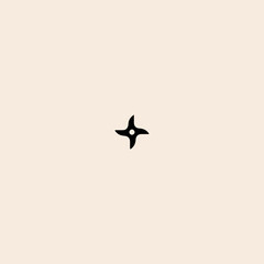 Ninja Star icon flat vector design. 