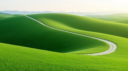 A grassy field with a path running through it from aerial view