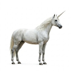 A white unicorn on a white background