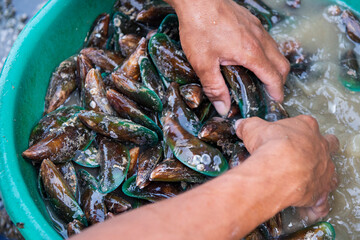 THAILAND PATTAYA NAKLUA SEAFOOD FISH MARKET