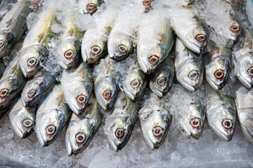 THAILAND PATTAYA NAKLUA SEAFOOD FISH MARKET