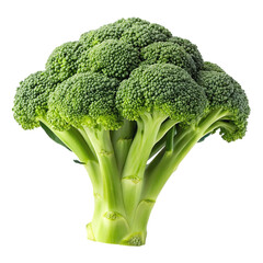 broccoli on a transparent background