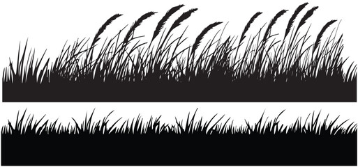 long grass, meadow silhouette vector, silhouette grass set