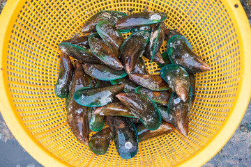 THAILAND PATTAYA NAKLUA SEAFOOD FISH MARKET